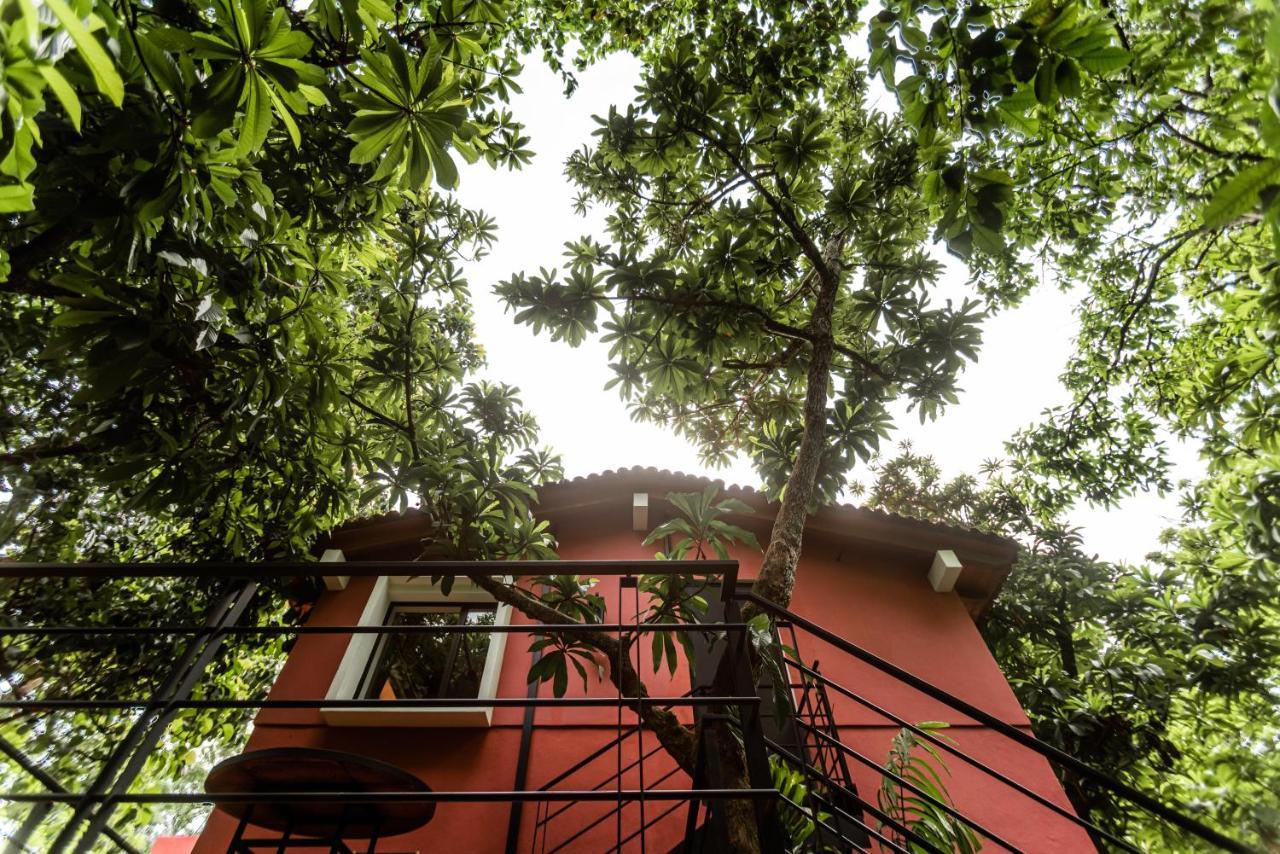 La Paranera Hotel & Relax Comala Exterior foto